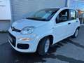 Fiat Panda /Pandina Panda 1.0 GSE Hybrid Blanc - thumbnail 1