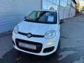 Fiat Panda /Pandina Panda 1.0 GSE Hybrid Blanc - thumbnail 2