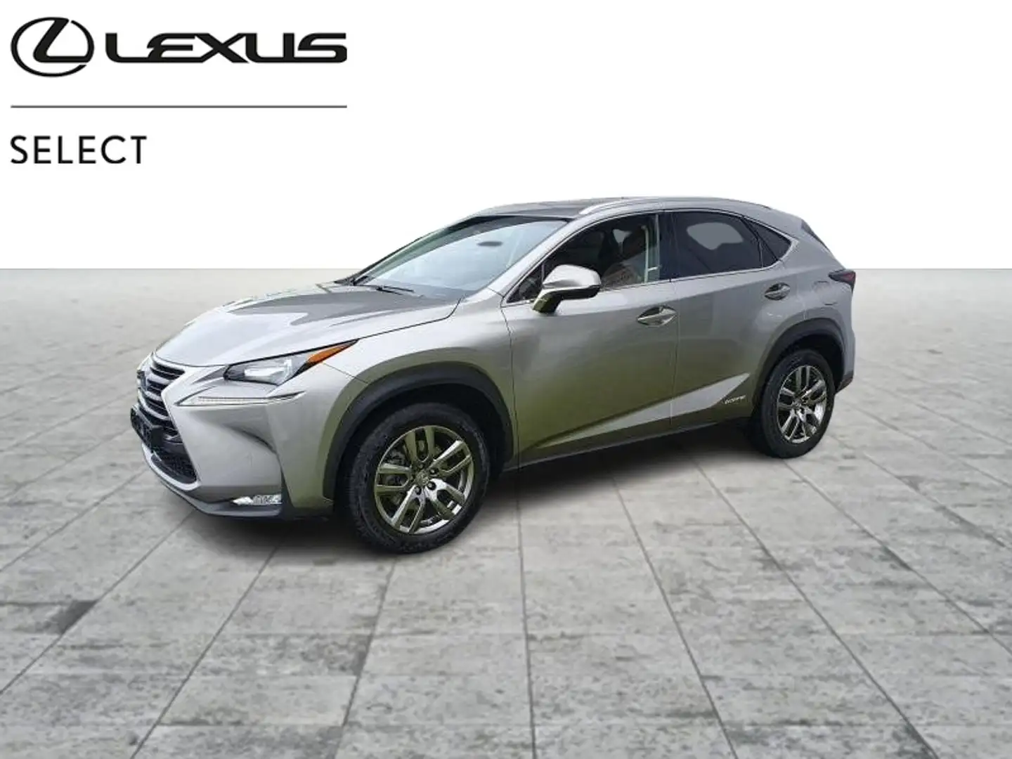 Lexus NX 300h Hybride Grau - 1