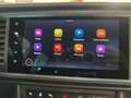 CUPRA Ateca 2.0 TSI 4Drive DSG *AHK* Weiß - thumbnail 11