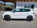 CUPRA Ateca 1.5 TSI DSG 150 *TOP AUSSTATTUNG* Weiß - thumbnail 2