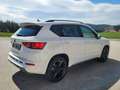 CUPRA Ateca 1.5 TSI DSG 150 *TOP AUSSTATTUNG* Weiß - thumbnail 5
