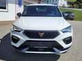 CUPRA Ateca 1.5 TSI DSG 150 *TOP AUSSTATTUNG* Weiß - thumbnail 7