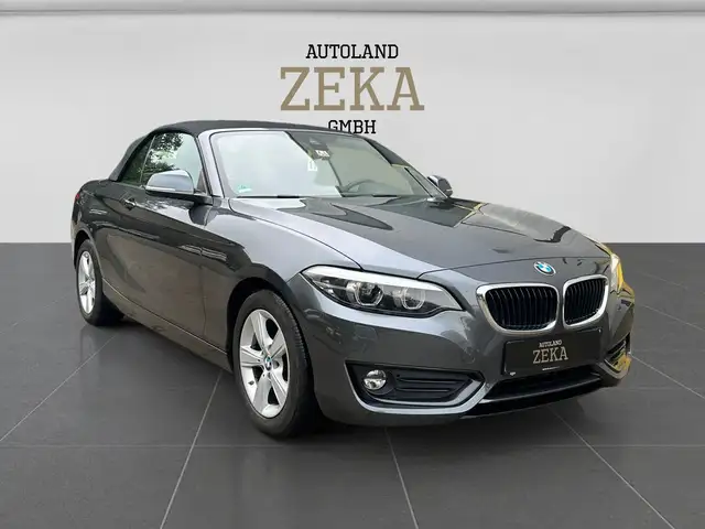 Bmw 218 i*CABRIO*ADVANTAGE*H&K*LEDER