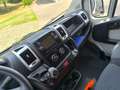 Fiat DUCATO Blanc - thumbnail 15