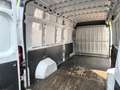 Fiat DUCATO Blanc - thumbnail 9