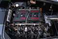 AC Sonstige COBRA 7.0l V8 ESP   ABS   LED   1of1   NEW Grau - thumbnail 41
