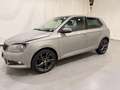 Skoda Fabia HB 1.2 TSI Monte Carlo Clima/Navi Bruin - thumbnail 20