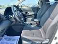 Toyota Yaris 1.5 Hybrid 5 porte Active Bianco - thumbnail 11