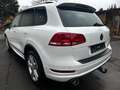 Volkswagen Touareg 3.0 V6 TDI BMT R-Line*Ahk*Xenon*Pano*Pdc Weiß - thumbnail 4