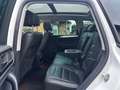Volkswagen Touareg 3.0 V6 TDI BMT R-Line*Ahk*Xenon*Pano*Pdc Weiß - thumbnail 8