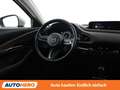 Mazda CX-30 2.0 Skyactiv-G Mild-Hybrid Comfort+ AWD Grau - thumbnail 13