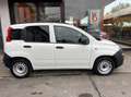 Fiat Panda Van 1.0 hybrid Pop 70cv 2p.ti serie 4 E6d Wit - thumbnail 8