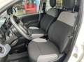 Fiat Panda Van 1.0 hybrid Pop 70cv 2p.ti serie 4 E6d Weiß - thumbnail 14