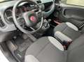 Fiat Panda Van 1.0 hybrid Pop 70cv 2p.ti serie 4 E6d Wit - thumbnail 13