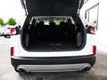 Ford Kuga Titanium FHEV NAVI+LED+Sitzhzg.+HeadUp Klima Navi Weiß - thumbnail 9