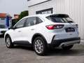 Ford Kuga Titanium FHEV NAVI+LED+Sitzhzg.+HeadUp Klima Navi Weiß - thumbnail 3