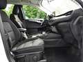 Ford Kuga Titanium FHEV NAVI+LED+Sitzhzg.+HeadUp Klima Navi Weiß - thumbnail 4