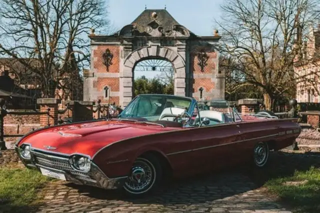 Ford Thunderbird (T-Bird) roadster V8 / CABRIO / LEDER / OLDTIMER