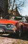 Ford Thunderbird (T-Bird) roadster V8 / CABRIO / LEDER / OLDTIMER Rouge - thumbnail 10