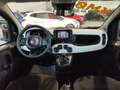 Fiat Panda 1.0 FireFly Hybrid Pandina Rot - thumbnail 10