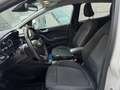 Ford Fiesta 1.1 85 CV 5 porte Titanium Blanc - thumbnail 7