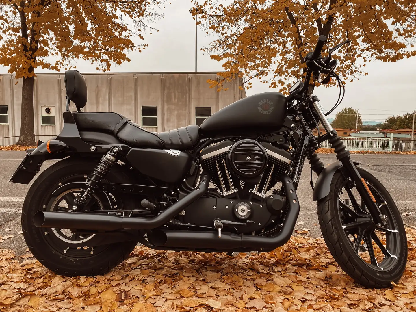 Harley-Davidson Sportster 883 883 iron Negru - 1