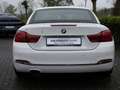 BMW 420 i Cabrio Luxury Line SHZ H/K NAVI LED HUD White - thumbnail 5