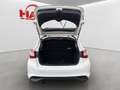 Nissan Pulsar Tekna/360°/Navi/Totwinkel/Leder/Temp. Blanc - thumbnail 16
