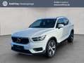 Volvo XC40 XC40 B4 AWD Momentum-Pro DKG Navi LED Kamera 18'' Weiß - thumbnail 1