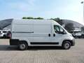 Fiat Ducato Ducato 35 2.2 Mjt 140CV PM-TM Furgone Bianco - thumbnail 4