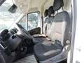 Fiat Ducato Ducato 35 2.2 Mjt 140CV PM-TM Furgone Bianco - thumbnail 8
