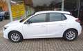 Opel Corsa Corsa 5-Türer 1.2 Edition SHZ PDC Navi Weiß - thumbnail 2
