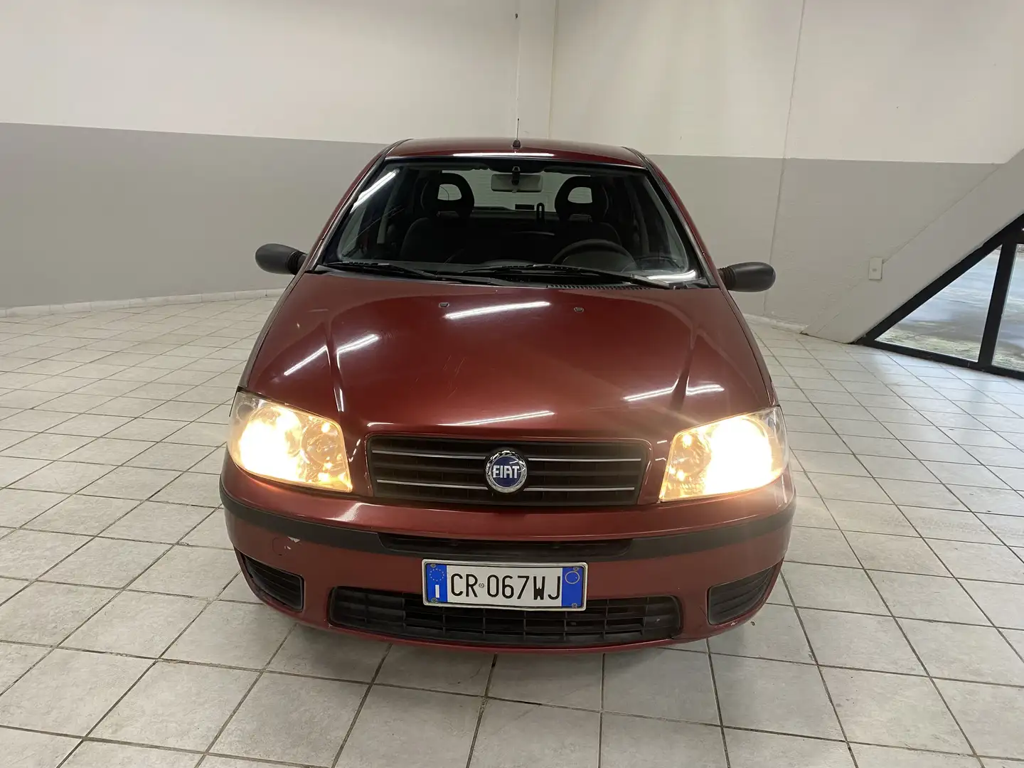 Fiat Punto 5p 1.2 bConnect - 1