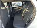 Nissan Qashqai 1.3 mild hybrid N-Connecta 2wd 140cv Blanco - thumbnail 17