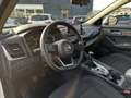 Nissan Qashqai 1.3 mild hybrid N-Connecta 2wd 140cv Blanco - thumbnail 8