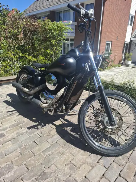 Kawasaki VN 800 - foto 6