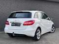 Mercedes-Benz B 200 Ambition | Panoramadak | Leder | Navigatie Blanc - thumbnail 15