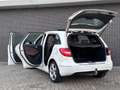 Mercedes-Benz B 200 Ambition | Panoramadak | Leder | Navigatie Blanc - thumbnail 19