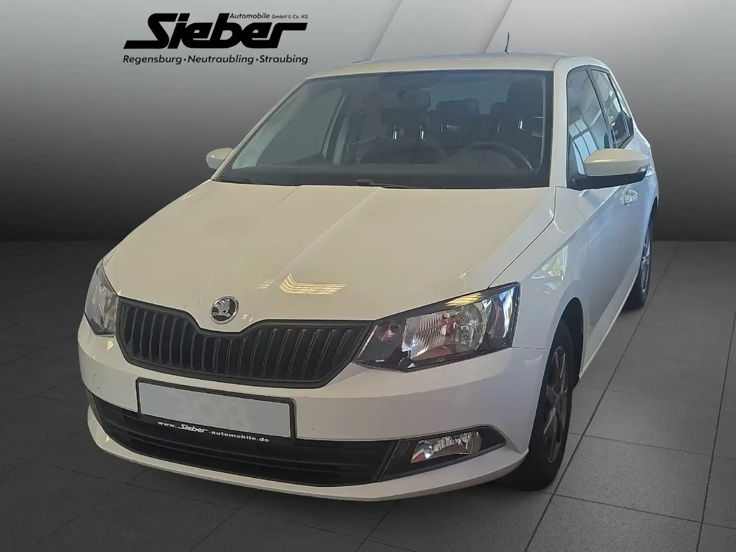 Skoda Fabia 1.2 TSI Green tec Active *Sitzheizung*PDC* Weiß - 2