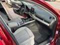 Audi A4 A4 Avant 40 2.0 tdi  Business 190cv s-tronic my16 Rosso - thumbnail 7