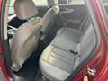 Audi A4 A4 Avant 40 2.0 tdi  Business 190cv s-tronic my16 Rosso - thumbnail 6
