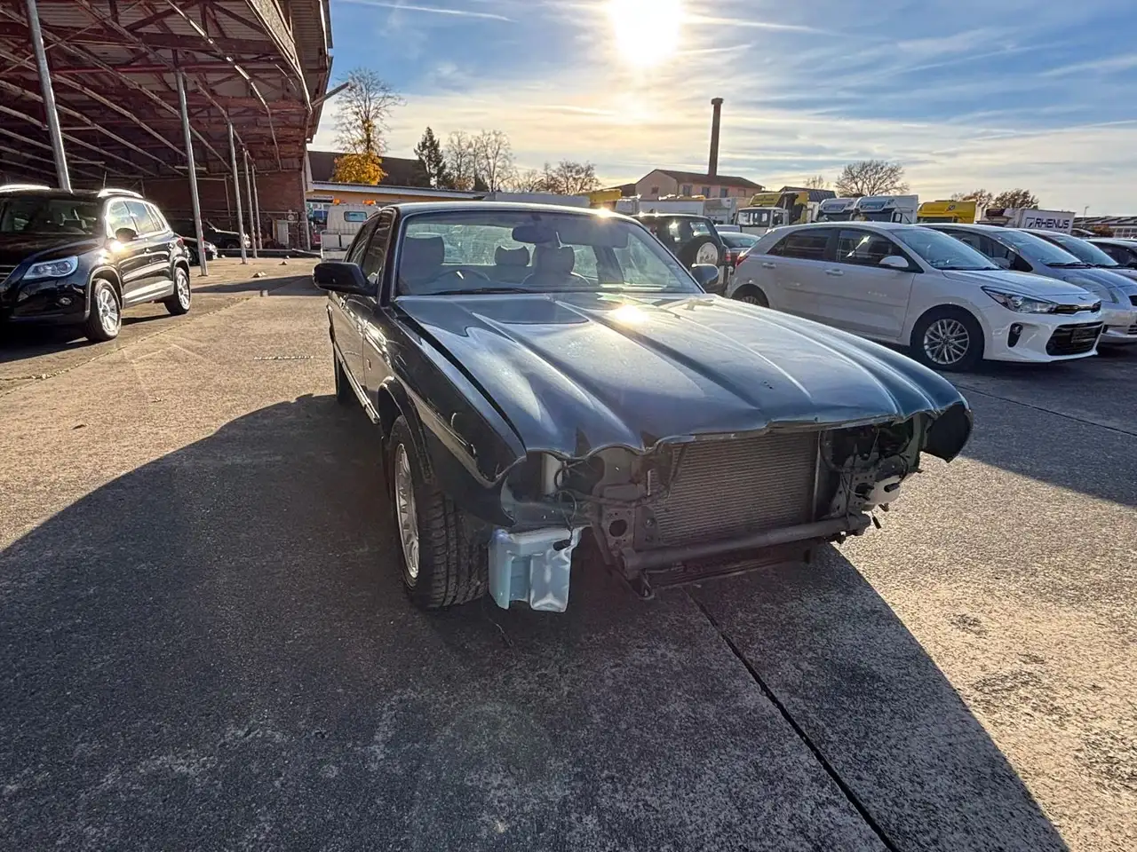 Jaguar XJ8 XJ*Rechtslenker*Automatik, foto 3