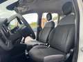 Fiat Panda 1.2 EasyPower Lounge  NESSUN VINCOLO Bianco - thumbnail 11