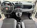 Fiat Panda 1.2 EasyPower Lounge  NESSUN VINCOLO Bianco - thumbnail 8
