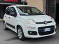 Fiat Panda 1.2 EasyPower Lounge  NESSUN VINCOLO Bianco - thumbnail 1
