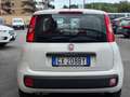 Fiat Panda 1.2 EasyPower Lounge  NESSUN VINCOLO Bianco - thumbnail 5