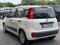 Fiat Panda 1.2 EasyPower Lounge  NESSUN VINCOLO Bianco - thumbnail 4