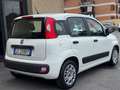 Fiat Panda 1.2 EasyPower Lounge  NESSUN VINCOLO Bianco - thumbnail 6
