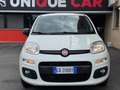Fiat Panda 1.2 EasyPower Lounge  NESSUN VINCOLO Bianco - thumbnail 2